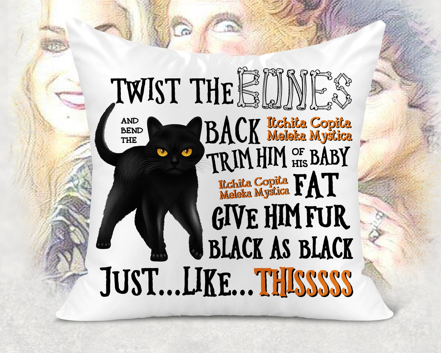 Hocus Pocus Binx Spell Pillow Cover